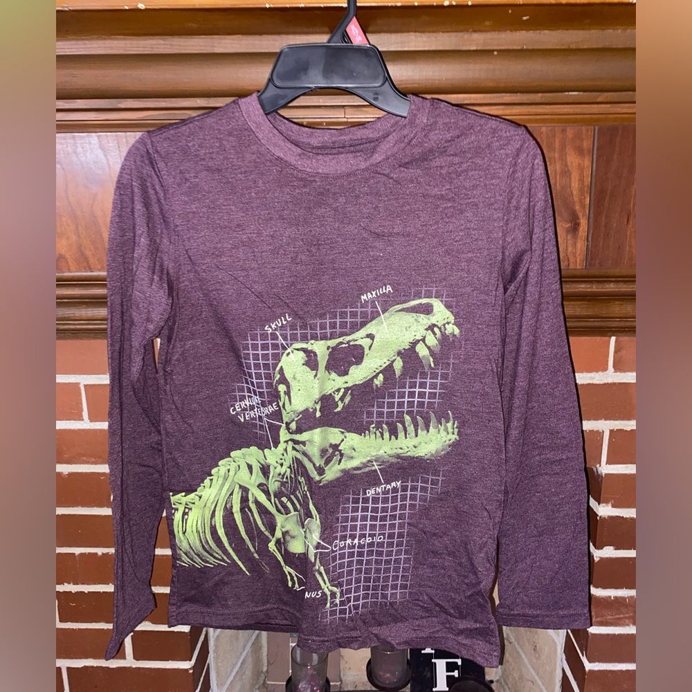 Purple Dinosaur Graphic Long Sleeve Shirt